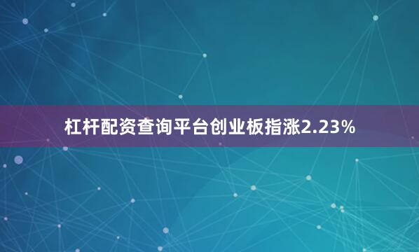 杠杆配资查询平台创业板指涨2.23%