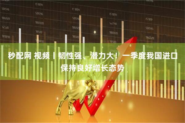 秒配网 视频丨韧性强、潜力大！一季度我国进口保持良好增长态势
